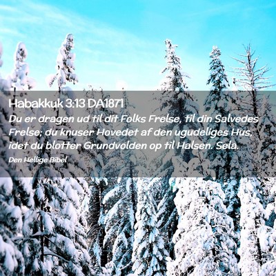Picture 02 - Habakkuk 3:13 DA1871 - Du er dragen ud til dit Folks Frelse, til din - Bible Verse Picture