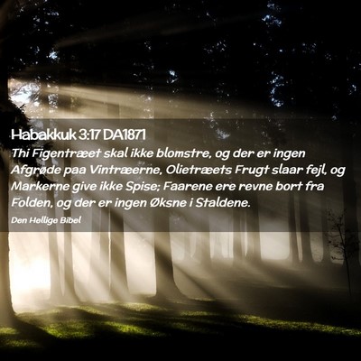 Picture 02 - Habakkuk 3:17 DA1871 - Thi Figentræet skal ikke blomstre, og der er - Bible Verse Picture