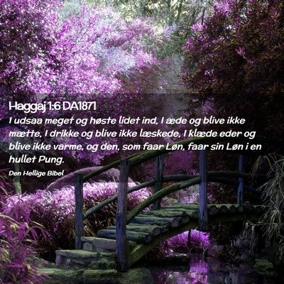 Picture 02 - Haggaj 1:6 DA1871 - I udsaa meget og høste lidet ind, I æde og - Bible Verse Picture