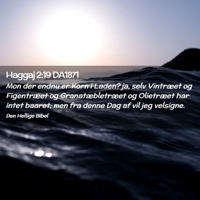 Picture 02 - Haggaj 2:19 DA1871 - Mon der endnu er Korn i Laden? ja, selv Vintræet - Bible Verse Picture