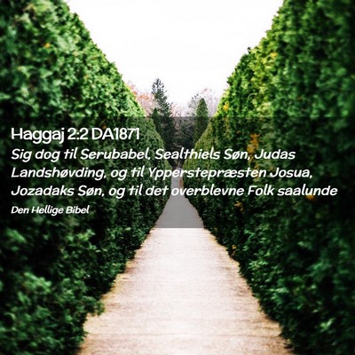 Picture 02 - Haggaj 2:2 DA1871 - Sig dog til Serubabel, Sealthiels Søn, Judas - Bible Verse Picture
