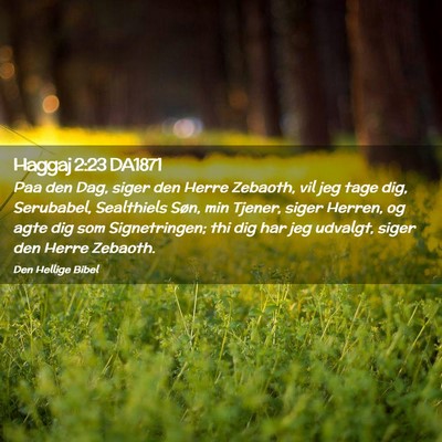 Picture 02 - Haggaj 2:23 DA1871 - Paa den Dag, siger den Herre Zebaoth, vil jeg - Bible Verse Picture
