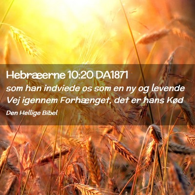Picture 02 - Hebræerne 10:20 DA1871 - som han indviede os som en ny og levende Vej - Bible Verse Picture