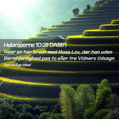 Picture 02 - Hebræerne 10:28 DA1871 - Naar en har brudt med Mose Lov, dør han uden - Bible Verse Picture