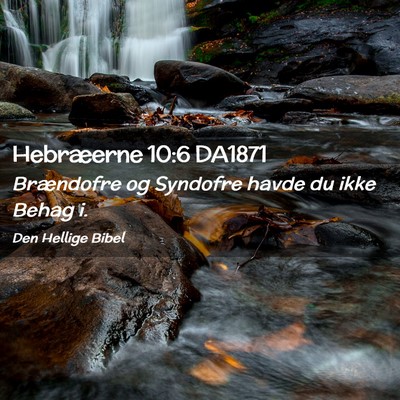 Picture 02 - Hebræerne 10:6 DA1871 - Brændofre og Syndofre havde du ikke Behag - Bible Verse Picture