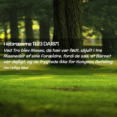 Picture 02 - Hebræerne 11:23 DA1871 - Ved Tro blev Moses, da han var født, skjult i - Bible Verse Picture