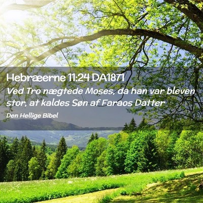 Picture 02 - Hebræerne 11:24 DA1871 - Ved Tro nægtede Moses, da han var bleven stor, - Bible Verse Picture