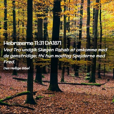 Picture 02 - Hebræerne 11:31 DA1871 - Ved Tro undgik Skøgen Rahab at omkomme med de - Bible Verse Picture