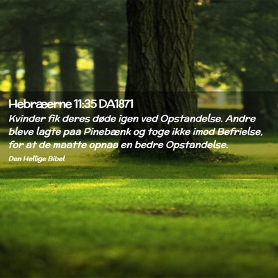Picture 02 - Hebræerne 11:35 DA1871 - Kvinder fik deres døde igen ved Opstandelse. - Bible Verse Picture