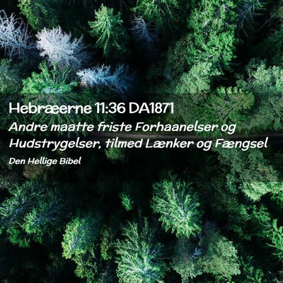 Picture 02 - Hebræerne 11:36 DA1871 - Andre maatte friste Forhaanelser og - Bible Verse Picture