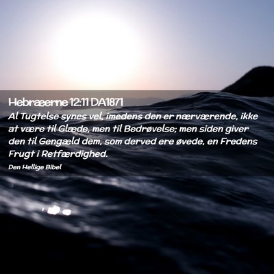 Picture 02 - Hebræerne 12:11 DA1871 - Al Tugtelse synes vel, imedens den er - Bible Verse Picture