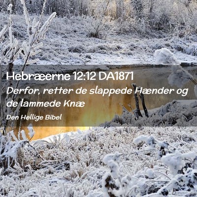 Picture 02 - Hebræerne 12:12 DA1871 - Derfor, retter de slappede Hænder og de lammede - Bible Verse Picture