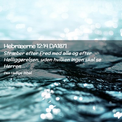 Picture 02 - Hebræerne 12:14 DA1871 - Stræber efter Fred med alle og efter - Bible Verse Picture