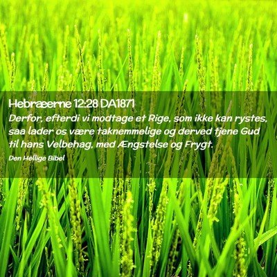 Picture 02 - Hebræerne 12:28 DA1871 - Derfor, efterdi vi modtage et Rige, som ikke kan - Bible Verse Picture