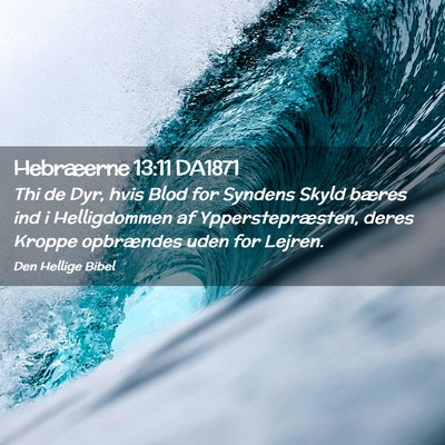 Picture 02 - Hebræerne 13:11 DA1871 - Thi de Dyr, hvis Blod for Syndens Skyld bæres - Bible Verse Picture