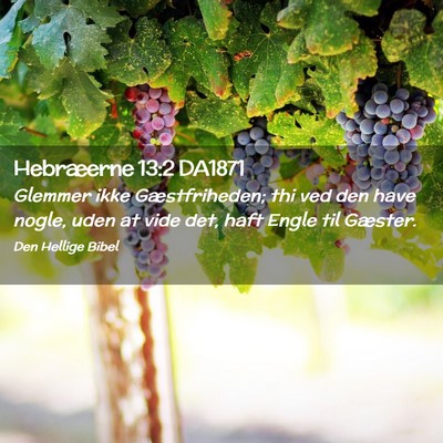 Picture 02 - Hebræerne 13:2 DA1871 - Glemmer ikke Gæstfriheden; thi ved den have - Bible Verse Picture