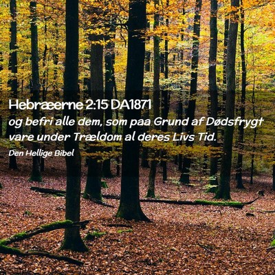 Picture 02 - Hebræerne 2:15 DA1871 - og befri alle dem, som paa Grund af Dødsfrygt - Bible Verse Picture