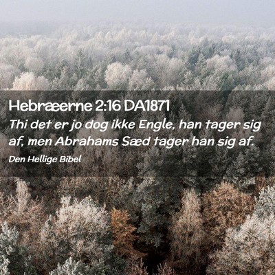 Picture 02 - Hebræerne 2:16 DA1871 - Thi det er jo dog ikke Engle, han tager sig af, - Bible Verse Picture