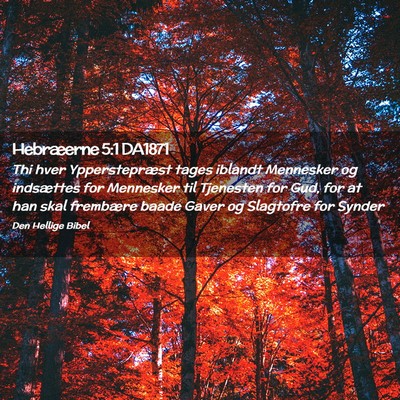 Picture 02 - Hebræerne 5:1 DA1871 - Thi hver Ypperstepræst tages iblandt Mennesker - Bible Verse Picture