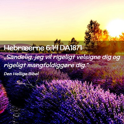 Picture 02 - Hebræerne 6:14 DA1871 - „Sandelig, jeg vil rigeligt velsigne dig og - Bible Verse Picture