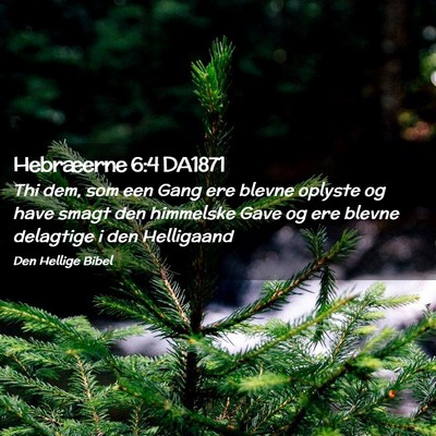 Picture 02 - Hebræerne 6:4 DA1871 - Thi dem, som een Gang ere blevne oplyste og have - Bible Verse Picture