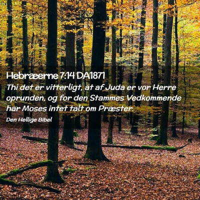 Picture 02 - Hebræerne 7:14 DA1871 - Thi det er vitterligt, at af Juda er vor Herre - Bible Verse Picture