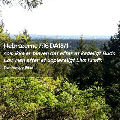 Picture 02 - Hebræerne 7:16 DA1871 - som ikke er bleven det efter et kødeligt Buds - Bible Verse Picture