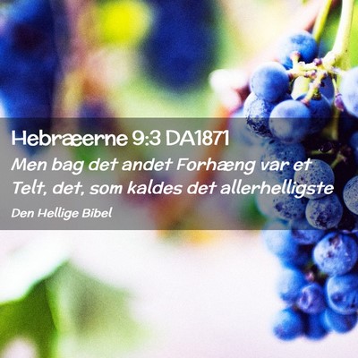 Picture 02 - Hebræerne 9:3 DA1871 - Men bag det andet Forhæng var et Telt, det, som - Bible Verse Picture
