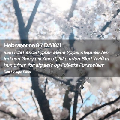 Picture 02 - Hebræerne 9:7 DA1871 - men i det andet gaar alene Ypperstepræsten ind - Bible Verse Picture