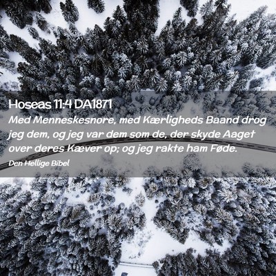 Picture 02 - Hoseas 11:4 DA1871 - Med Menneskesnore, med Kærligheds Baand drog jeg - Bible Verse Picture