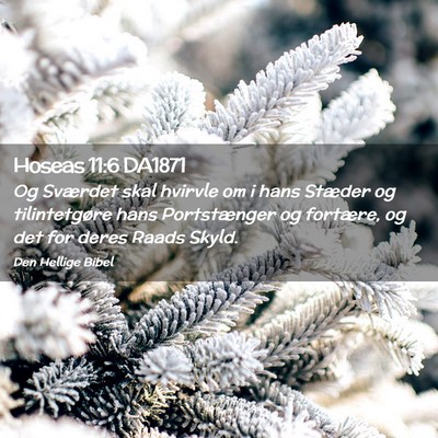 Picture 02 - Hoseas 11:6 DA1871 - Og Sværdet skal hvirvle om i hans Stæder og - Bible Verse Picture