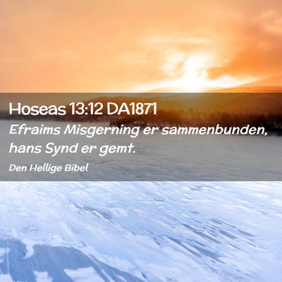 Picture 02 - Hoseas 13:12 DA1871 - Efraims Misgerning er sammenbunden, hans Synd er - Bible Verse Picture