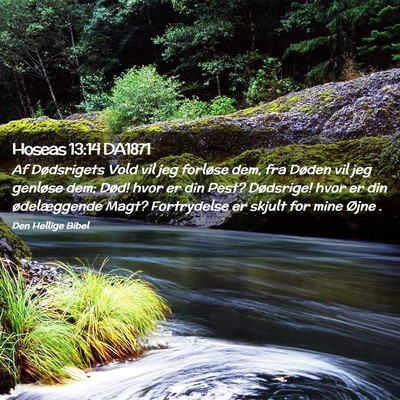 Picture 02 - Hoseas 13:14 DA1871 - Af Dødsrigets Vold vil jeg forløse dem, fra - Bible Verse Picture