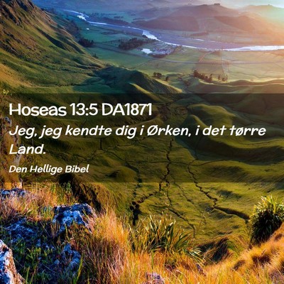 Picture 02 - Hoseas 13:5 DA1871 - Jeg, jeg kendte dig i Ørken, i det tørre - Bible Verse Picture
