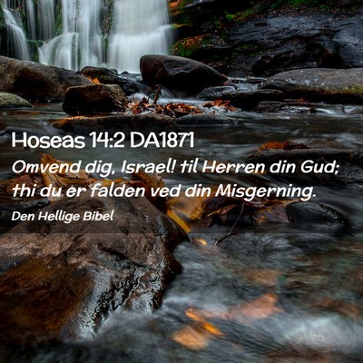 Picture 02 - Hoseas 14:2 DA1871 - Omvend dig, Israel! til Herren din Gud; thi du er - Bible Verse Picture