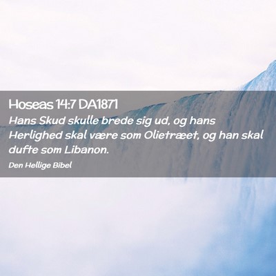 Picture 02 - Hoseas 14:7 DA1871 - Hans Skud skulle brede sig ud, og hans Herlighed - Bible Verse Picture