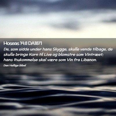 Picture 02 - Hoseas 14:8 DA1871 - De, som sidde under hans Skygge, skulle vende - Bible Verse Picture