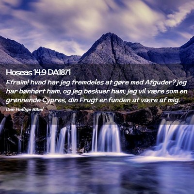 Picture 02 - Hoseas 14:9 DA1871 - Efraim! hvad har jeg fremdeles at gøre med - Bible Verse Picture