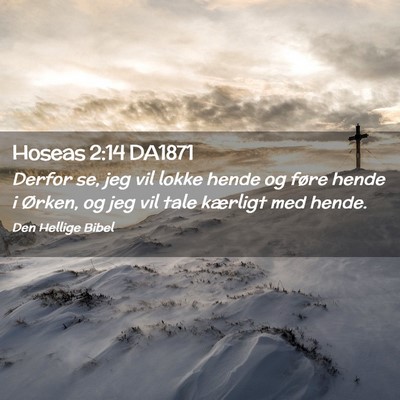 Picture 02 - Hoseas 2:14 DA1871 - Derfor se, jeg vil lokke hende og føre hende i - Bible Verse Picture