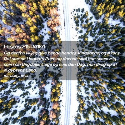 Picture 02 - Hoseas 2:15 DA1871 - Og derfra vil jeg give hende hendes Vingaarde, og - Bible Verse Picture