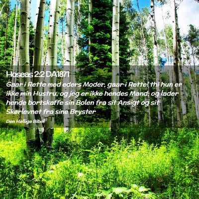 Picture 02 - Hoseas 2:2 DA1871 - Gaar i Rette med eders Moder, gaar i Rette! thi - Bible Verse Picture