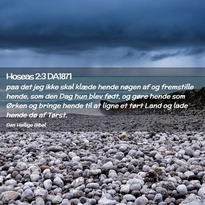 Picture 02 - Hoseas 2:3 DA1871 - paa det jeg ikke skal klæde hende nøgen af og - Bible Verse Picture