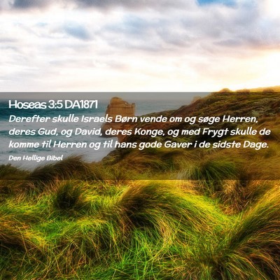 Picture 02 - Hoseas 3:5 DA1871 - Derefter skulle Israels Børn vende om og søge - Bible Verse Picture