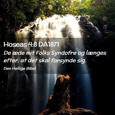 Picture 02 - Hoseas 4:8 DA1871 - De æde mit Folks Syndofre og længes efter, at - Bible Verse Picture