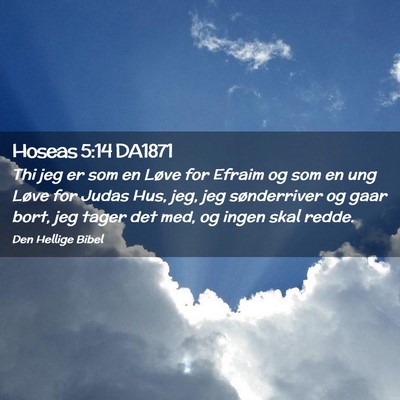 Picture 02 - Hoseas 5:14 DA1871 - Thi jeg er som en Løve for Efraim og som en ung - Bible Verse Picture