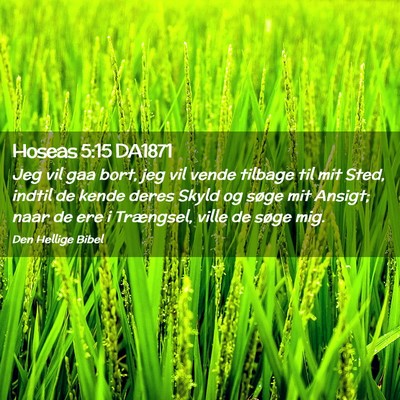 Picture 02 - Hoseas 5:15 DA1871 - Jeg vil gaa bort, jeg vil vende tilbage til mit - Bible Verse Picture