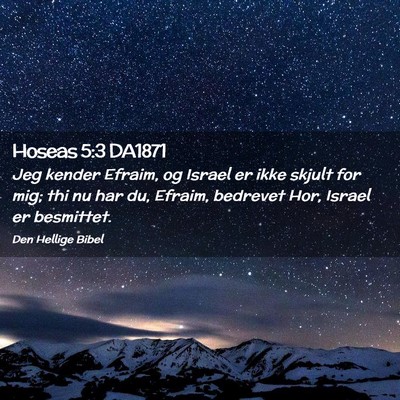 Picture 02 - Hoseas 5:3 DA1871 - Jeg kender Efraim, og Israel er ikke skjult for - Bible Verse Picture
