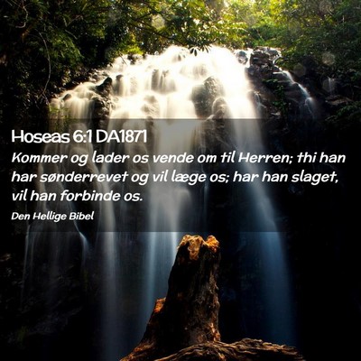 Picture 02 - Hoseas 6:1 DA1871 - Kommer og lader os vende om til Herren; thi han - Bible Verse Picture