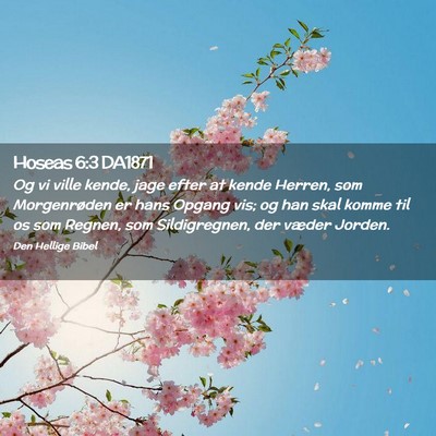 Picture 02 - Hoseas 6:3 DA1871 - Og vi ville kende, jage efter at kende Herren, - Bible Verse Picture