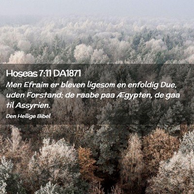Picture 02 - Hoseas 7:11 DA1871 - Men Efraim er bleven ligesom en enfoldig Due, - Bible Verse Picture